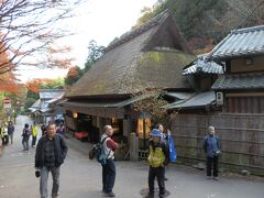 　愛宕神社は、京都・奥嵯峨にあり、火の神を祀り、全国に800社以上ある愛宕神社の総本山で、由緒正しい神社です。その、一の鳥居の前に店を構えるのが「鮎の宿 つたや」です。