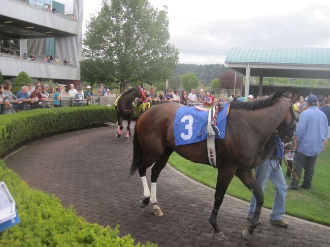 そんで、次のレースの出走馬たちが