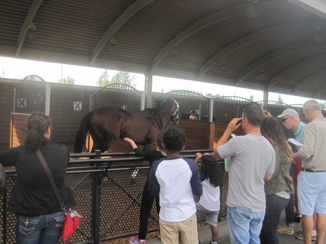 んで、そろそろメインレース