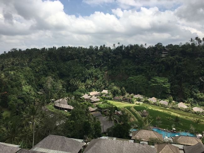 こんな景色(チョットずらしただけですけど)とも、しばしお別れです。また来たいと願います。<br /><br /><br />実はこの後チャーターした車で『ハイパーマート』に寄り、軽くお昼を済ませて予約していたスパ&amp;マッサージのお店に行って、3時間も揉みほぐされてグニャグニャになったまま夕食に案内して頂いたり、と色々書き連ねる事はあったのですが…、最終日という事に少々テンションが低空気味だったのか、その間の写真は1枚も有りません。