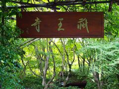 しばらく歩くと平家物語にも登場し、悲恋の尼寺としても知られる祇王寺に着いた。
