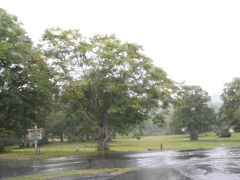 １０時前に新青森でレンタカーを借りて八甲田方面に向かいましたが、萱野高原で雨が降ってきました。

