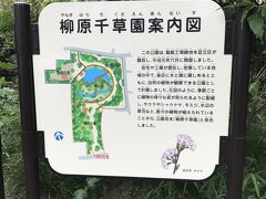 まず本日最初の訪問地「柳原千草園」入口の案内板。もと製紙工場の跡地。開園は平成元年ということで、結構新しい