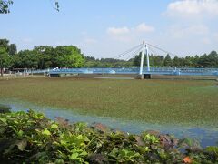 南蔵院を後にしてさらに北上、水元公園に到達しました。
東京都立水元公園は、東京都の東部、葛飾区に位置し、埼玉県（三郷市）に接している都内最大の水郷公園です。園内は、豊かな森林の趣と貴重な水生植物を擁する水郷風景を楽しめます。