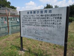 葛飾区の金魚展示場に到着しました。
この展示場は、昭和１０年東京都によって造営された水産試験場の養魚場跡地だそうで、平成９年に都から葛飾区に譲渡され現在にいたっているとのことです。