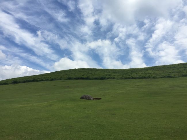 山というか丘のような若草山。<br />何と私は１０ｍも登れないのです。そんな体になってしまったのか、ショック。<br />まだドロミテの山を登りたいのに～<br />
