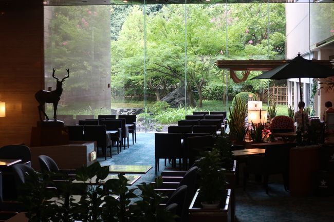 奈良フジタホテルで泊まりました。<br />奈良ホテルなどの名門の下にあり、新興のお安いホテルには突きあげられ、このような古い観光ホテルの営業は大変かと思います。<br />だからこそサービスに力を入れている姿を垣間見れ、好感を持ちました。