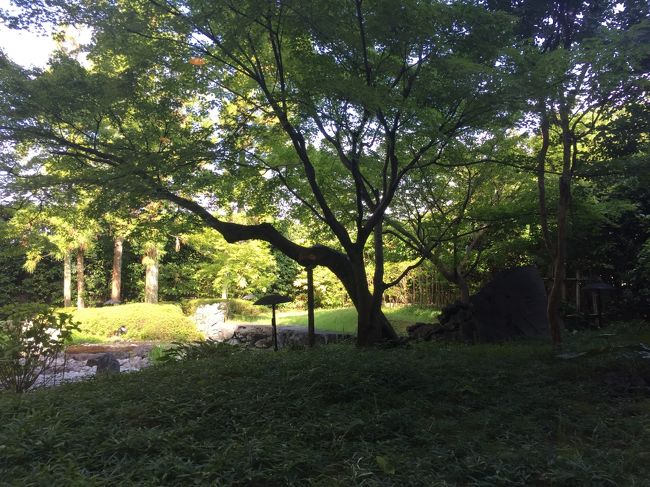 朝食会場から見えるお庭。落ち着いていて緑が気持いいです。