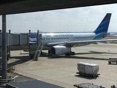 子連れということで飛行機は直行便を選択。関空からガルーダ・インドネシア航空でバリ島に向かいました。