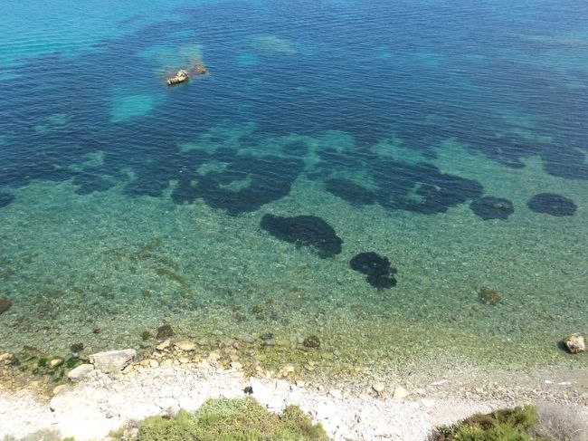 すっごい透き通ってるでしょ？！