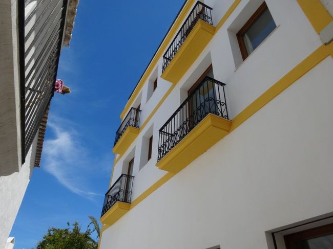 こっちは黄色だね。<br />空がきれいだから、よけい素敵なのかなー？