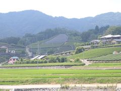 南山城、和束の里、銘茶の産地です。