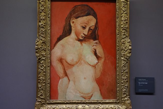 オランジュリー美術館【4】Pablo Picasso、Amedeo Modigliani etc』パリ(フランス)の旅行記・ブログ by  +mo2さん【フォートラベル】