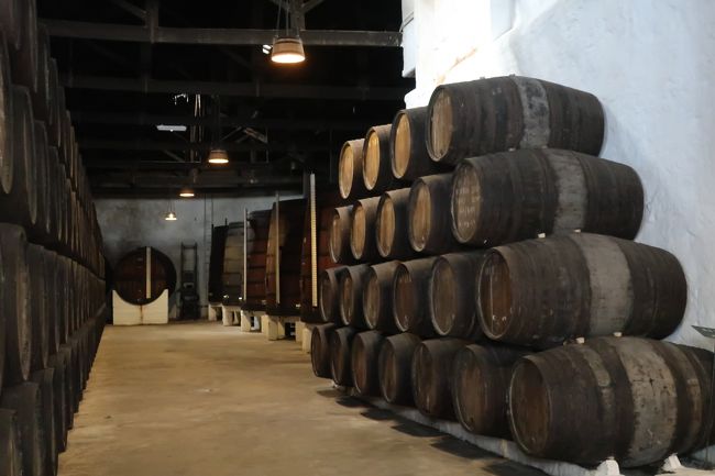 樽が並ぶワイン蔵。
