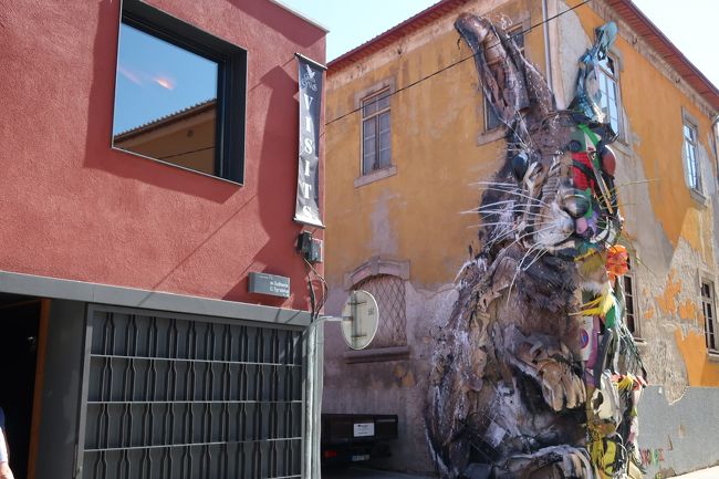 こちらのうさぎ、かなり目立っていました。この通りを上っていきます。