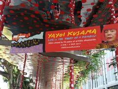 まだ時間があったのでナショナルギャラリーシンガポールへ。

9月3日まで草間彌生さんの展示がされているようで、バスの車体にまで広告が出ていたので気になってたんですよね(*^O^*)

大通りからナショナルギャラリーの入り口までドットが続いてます。