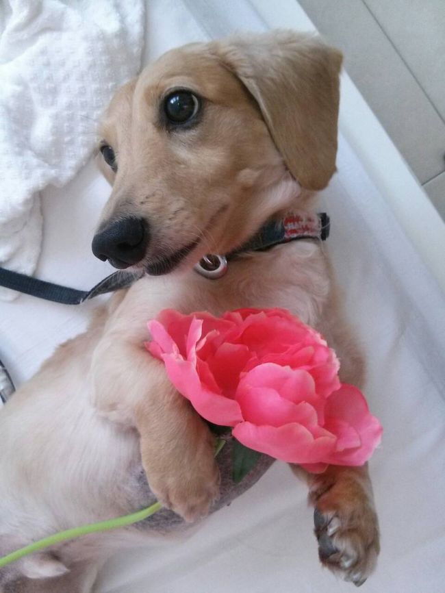 おまけ<br /><br /><br /><br />小梅撮影