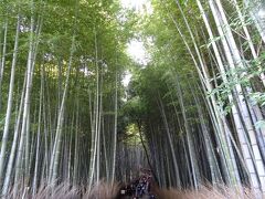 北門を出るとすぐそこに有名な竹林の道。
いやあ、観光客の群れすごい。