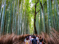 定番の、竹林の小径へ。ココも人多い。桜でも紅葉でもないから、だいぶマシなんでしょうけどね…。でも、なかなかの迫力です。