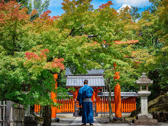 フラフラと歩いて天龍寺へ。少しだけ赤く染まった緑と鳥居、青い空と着物の人。なかなかドラマチックな一枚。

実際には、この向こうに隠れている彼女を撮っているだけですが（笑）