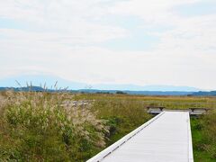 渡り鳥の飛来地として重要な湿地として
ラムサール条約に登録された濤沸湖に
2016年、木道ができましたー。
先端には野鳥の展望デッキがあります。
左側には斜里岳が･･･今日は見えませーん。