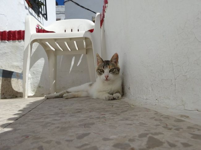 かわいい(〃ω〃)