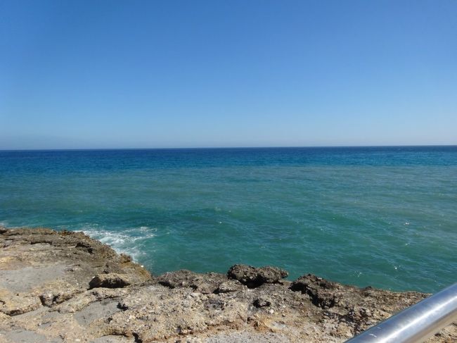 フリヒリアナに満足したので、ネルハに戻ってきましたー。