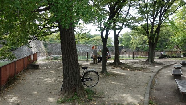 こちらでは叔父さんが喧しい、IR特区先行しています