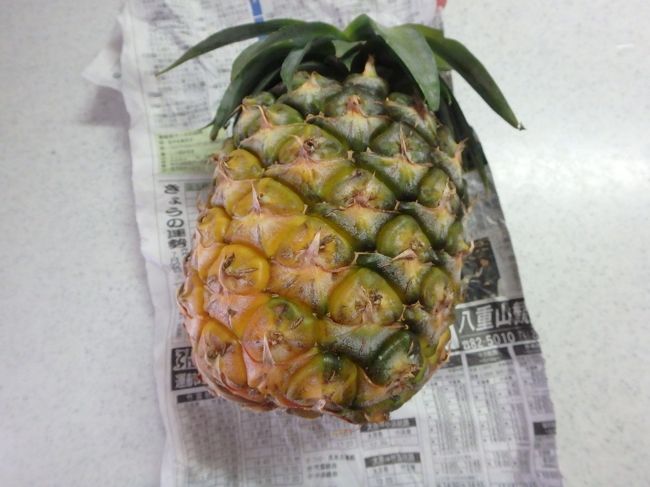 購入した石垣パイン、これは一個４００円のもの<br />美味しいのでお勧めです！！<br /><br />この後８月、今夏の家族旅行は沖縄本島に行って来ました～<br />upが遅いけど良かったら覗いて下さいm(__)m<br />ここまでご覧下さいましてありがとうございました！<br />皆さんの旅も楽しく思い出深いものとなりますように(^^)
