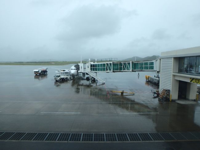 いつも沖縄滞在中のどこかは雨だなぁ<br />でも今回は帰り以外晴天だったので最高でした！！<br />感謝！