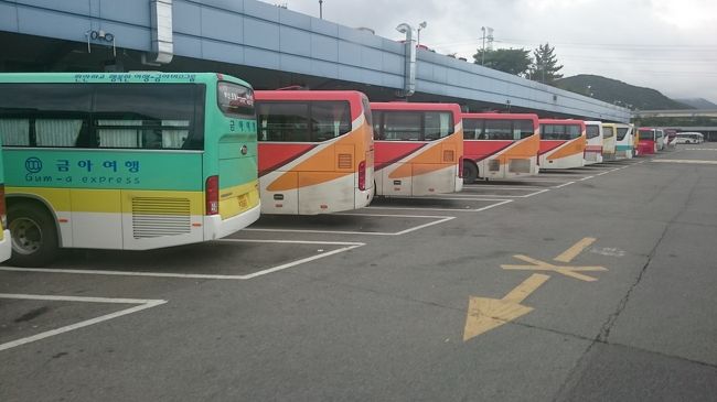 どこのバスターミナルだったかな？☺