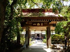 法善寺
藤袴のお寺ですが枝垂桜も有名なところです。
