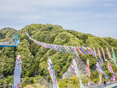 坂を登って行くと、竜神大吊橋と鯉のぼり