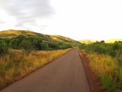 【－Pilanesberg National Park（ピラネスブルフ国立公園）ー】

朝早いので、朝焼けが綺麗です。