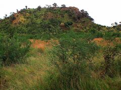 【－Pilanesberg National Park（ピラネスブルフ国立公園）ー】

なんか、いそぉぉぉ～～......でも、いない........思っていたほど、出てこない.....朝早いからか......あっという間に３－４０分......