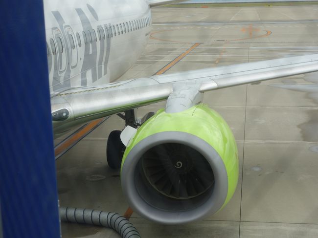 ソラシドエアーのボーイング737-800に乗りました。ソラシド ソラシドエアーのボーイング737-800に乗りました。ソラシド