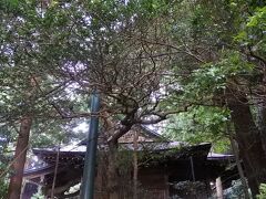 隣にある熊野神社は温泉の神様。