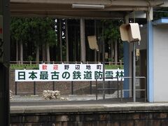 野辺地駅。日本最古の鉄道防雪林。