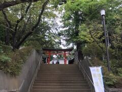 最後の目的地は大谷場氷川神社。
後で調べたら、狛犬がなく狛キジがいる珍しい神社だったようです。