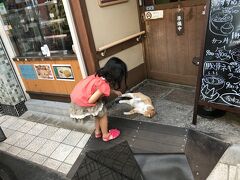 道後温泉の商店街を散策するのも面白いです。

ドヤ顔で猫が寝ていました。