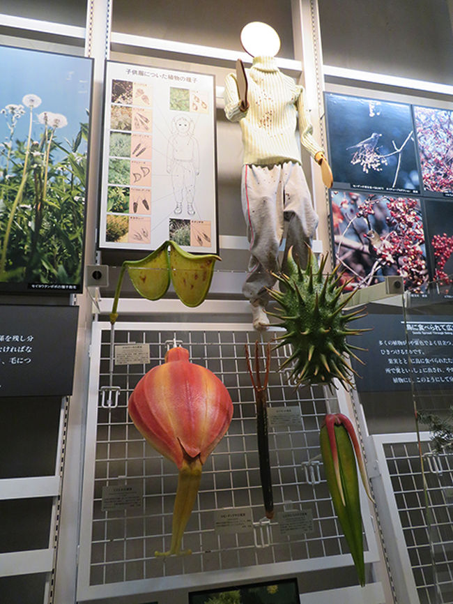 千葉県民の日入館無料 千葉県立博物館 千葉市 千葉県 の旅行記 ブログ By のほりんさん フォートラベル 千葉県民の日入館無料 千葉県立博物館 千葉市 千葉県 の旅行記 ブログ By のほりんさん フォートラベル