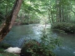 一日で青森空港～恐山～奥入瀬～十和田湖泊の強行プログラムでした。奥入瀬には夕暮れ時6時前に到着少しの間散策をする。少し以前よりも水量が多いような気がしたが、さすが奥入瀬美しい姿を今回も見せてくれた。