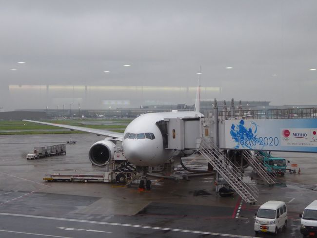 JAL901便でまずは那覇へ。<br />機材はB777-200．