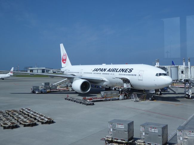 沖縄は、晴天！！