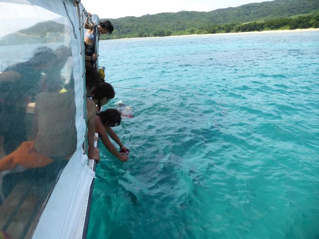 みんな青い海に、はしゃいでいます！！