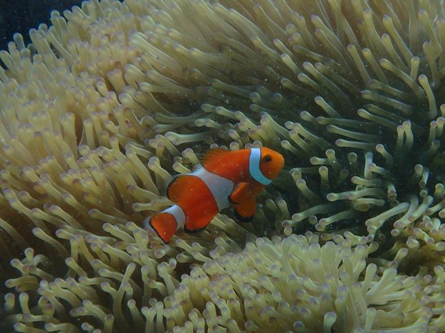 ずっと見ていたい！