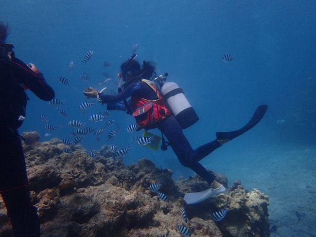 いっぱい集まってきた！