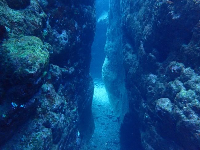 地形パラダイス！