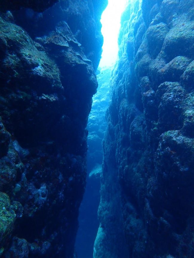 光の筋がきれい！