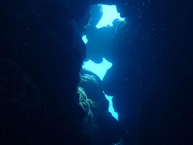 オープンハートでハート探し！